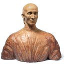 Bust - Old man of the Capponi family