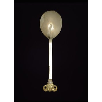 Spoon