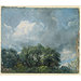 Oil sketch