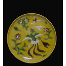 Dish