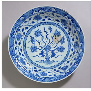 Dish