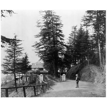 Photograph - Oakover, Simla; Simla Photograph - Oakover, Simla; Simla