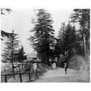 Oakover, Simla; Simla (Photograph) Oakover, Simla; Simla (Photograph)