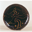 Dish