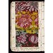 Pattern book