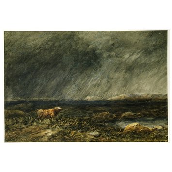 Watercolour - The Challenge: A Bull in a Storm on a Moor