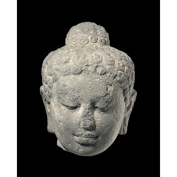 Sculpture - Head of the Buddha Sculpture - Head of the Buddha