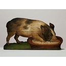 Pig Feeding from a Bowl (Dummy board) Pig Feeding from a Bowl (Dummy board)