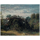 Oil - Study of Sky and Trees at Hampstead