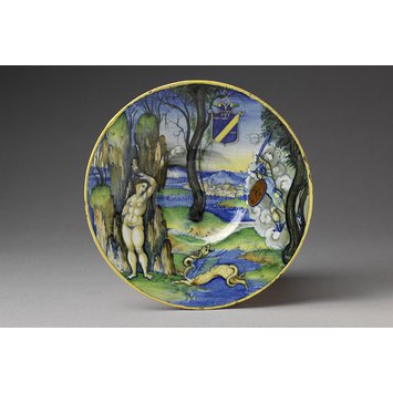 Plate Plate