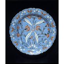 Dish