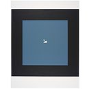 The Swan (Print)
