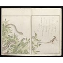 Page - Picture Book: Selected Insects; Gahon Mushi-erami