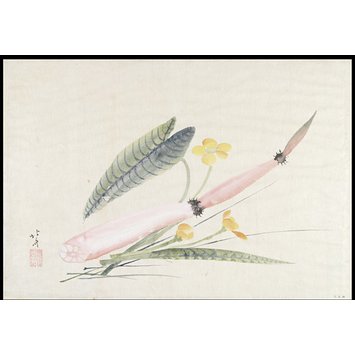 Painting - Lotus Root and Spatterdocks Painting - Lotus Root and Spatterdocks