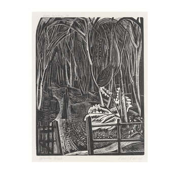 Print - Winter Wood Print - Winter Wood