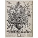 January; Twelve Months of Flowers (Print)