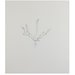 Print - Shepherds Purse 2; Nourishment Print - Shepherds Purse 2; Nourishment