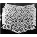 Stomacher