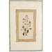 Painting - A flowering plant