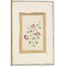 Painting - A flowering plant