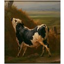A Bull in a Normandy Pasture (Oil painting) A Bull in a Normandy Pasture (Oil painting)