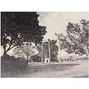 Small Temple and swing at Bikampulli (Photograph) Small Temple and swing at Bikampulli (Photograph)