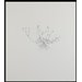 Print - Creeping Buttercup; Nourishment Print - Creeping Buttercup; Nourishment