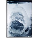 Photograph - Anabiosis: Fishermen Plants