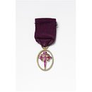 The Order Sant' Iago (Ornament)