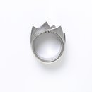 Beweglicher (moveable) Ring (Ring) Beweglicher (moveable) Ring (Ring)