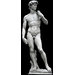 Plaster cast - David Plaster cast - David