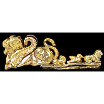 Fibula