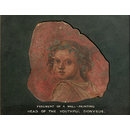Head of the youthful Dionysus (Fresco)