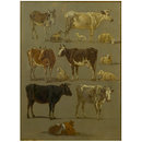 Studies of Animals: Cows and Oxen, Sheep and a Donkey (Oil painting)