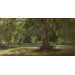 Oil painting