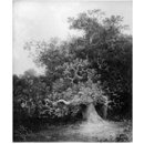Forest scene with oak trees (Oil painting)