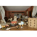 Dolls' house - Bettiscombe; Miss Pinney's House Dolls' house - Bettiscombe; Miss Pinney's House