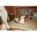 Dolls' house - Bettiscombe; Miss Pinney's House Dolls' house - Bettiscombe; Miss Pinney's House