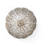 Elements of a filigree button