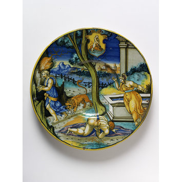 Plate Plate