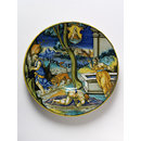 Plate Plate