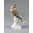 Parrot Parrot