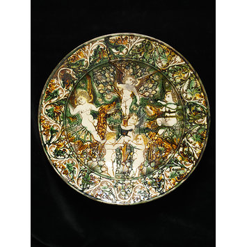 Dish