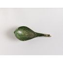 Spoon