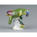 Parrot Parrot