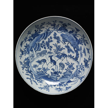 Dish