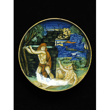 Dish
