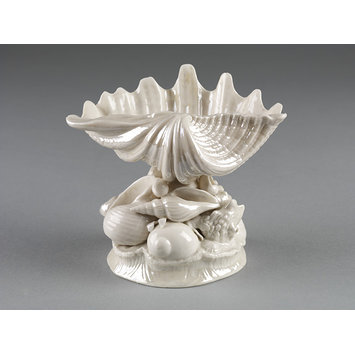 Shell comport Shell comport