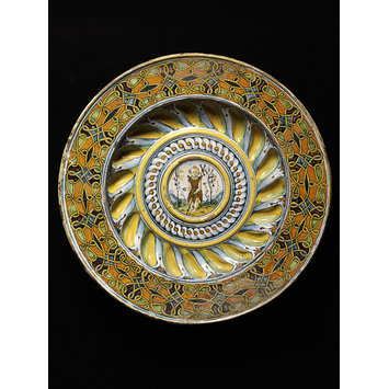 Dish Dish