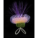 Ring - Cornflower, Centaurea cyanus